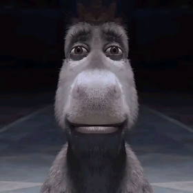Donkey