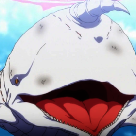The White Whale