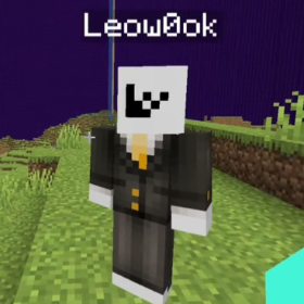 Leowook