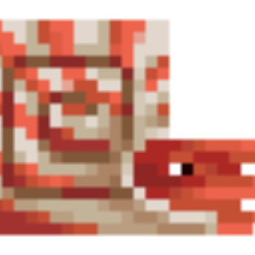 Nautilus