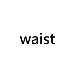 waist