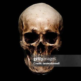 skull