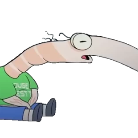 Shrimp