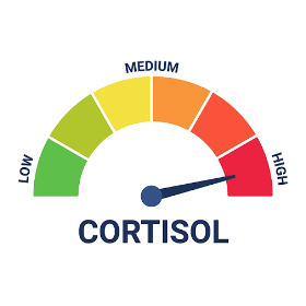 cortisol