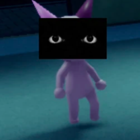 Camera anomaly 