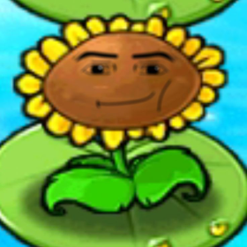 PvZ Flower
