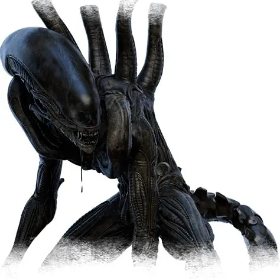 xenomorth