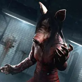 pig