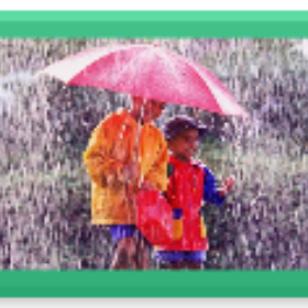 rainy