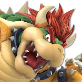14. Bowser