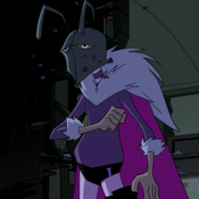 Killermoth
