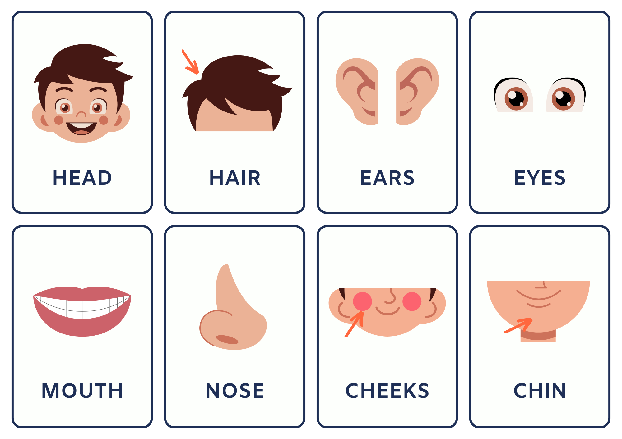 Body parts