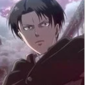 Levi