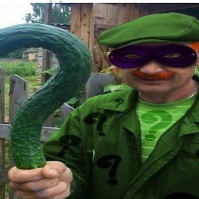 Riddler