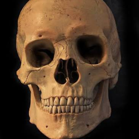 skull