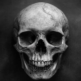 skull