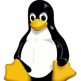 Linux guy