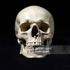 skull