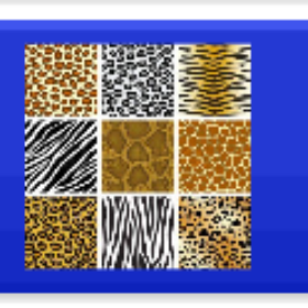 fur