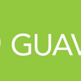 Google Guava