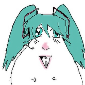 c8770c5368c2aa738e01395084c5