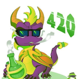 Spyro guy
