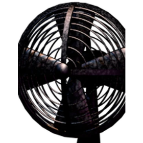 The Fan